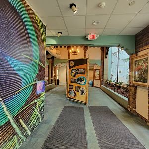 Toledo Zoo, Aviary - Next area