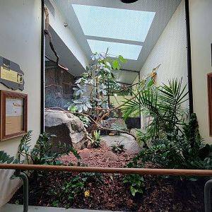 Toledo Zoo, Aviary - New Guinea