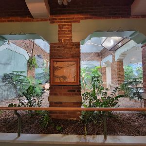 Toledo Zoo, Aviary - Africa