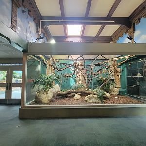 Toledo Zoo, Aviary - Emperor tamarins