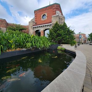 Toledo Zoo - Aquarium