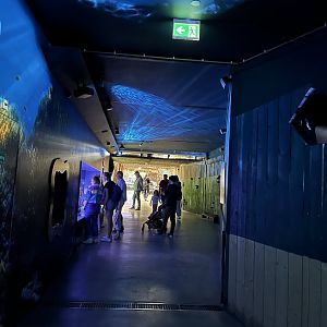 Oceanium- General view 13.7.23
