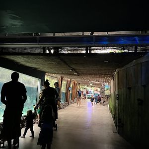 Oceanium- view coming into tropical area 13.7.23