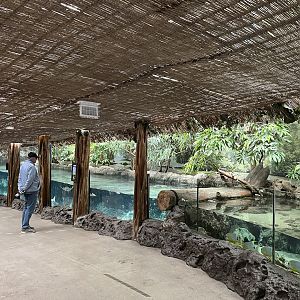 Oceanium- Mangrove tank 13.7.23