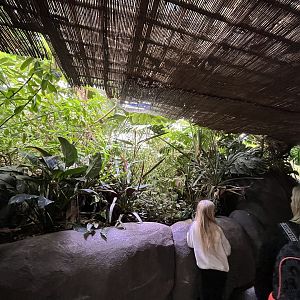 Oceanium- General view 13.7.23