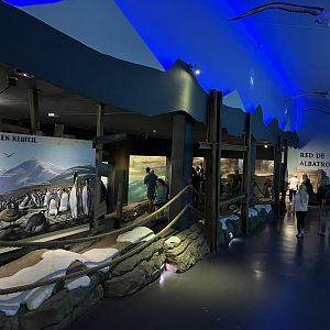 Oceanium- View coming to Penguin enclosure 13.7.23