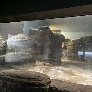 Oceanium- Penguin enclosure 13.7.23