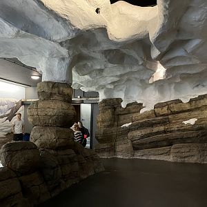 Oceanium- General view in Polar area 13.7.23