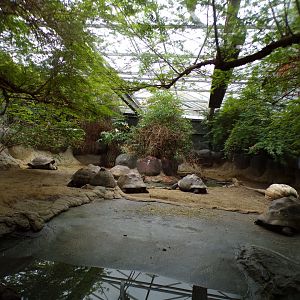 Oceanium- Galapagos tortoise indoors 13.7.23