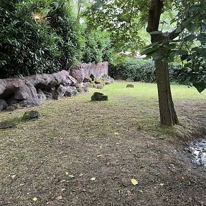 Oceanium- Galapagos tortoise enclosure 13.7.23