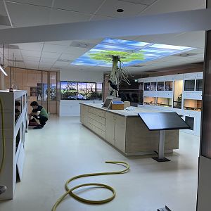 Oceanium- Terrarium area 13.7.23