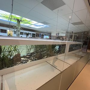 Oceanium- Lake Titicaca water frog enclosures 13.7.23