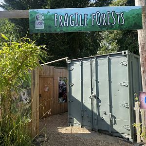 Fragile Forests 290723