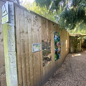 Tufted capuchin enclosure 290723