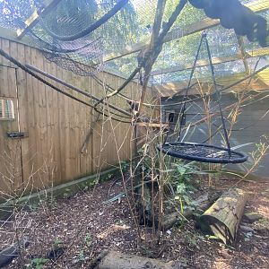 Tufted capuchin enclosure 290723
