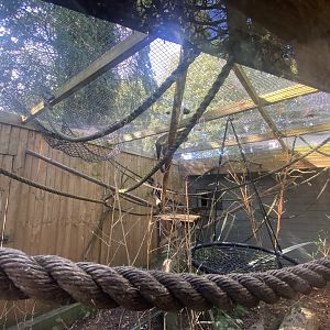 Tufted capuchin enclosure 290723