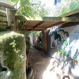 Fragile Forests 290723