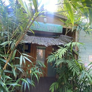 Fragile Forests Discovery Outpost 290723