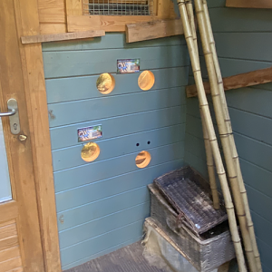 Fragile Forests Discovery Outpost 290723