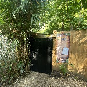 Fragile Forests Animals by Night… 290723