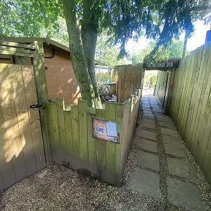 Meerkat enclosure 290723