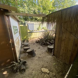 Meerkat enclosure 290723