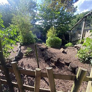Parma wallaby walkthrough enclosure 290723