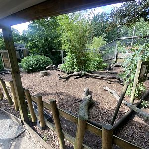 Parma wallaby walkthrough enclosure 290723
