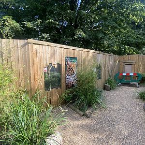 Ocelot enclosure 290723