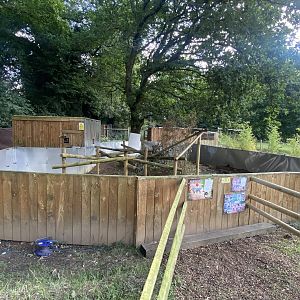 Javan binturong and Asian small-clawed otter enclosure 290723