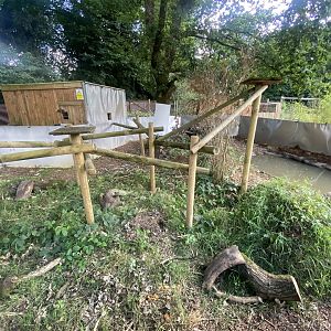 Javan binturong and Asian small-clawed otter enclosure 290723