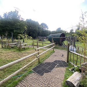Walkway towards Maned wolves 290723