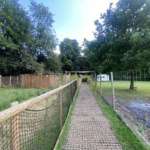 Walkway towards Maned wolves 290723