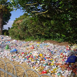 Overview of the result of the Colchester Zoo Rocks 60 project- 2/6/2023