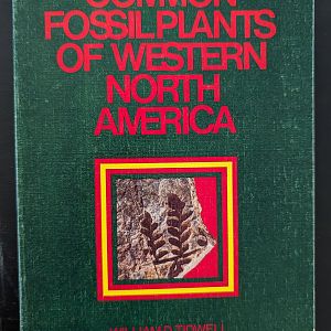 Common Fossil Plants of Western North America
