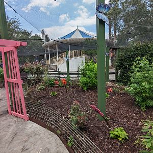 Butterfly Garden