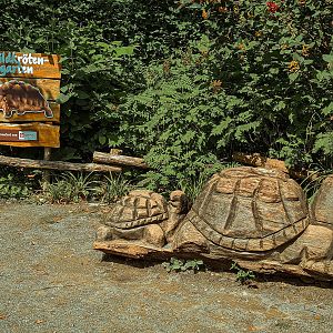 "Schildkrötengarten"