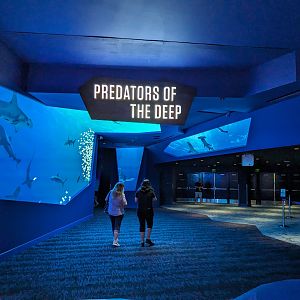 Predators of the Deep - Entrance