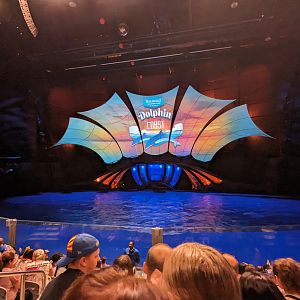Dolphin Coast - show tank