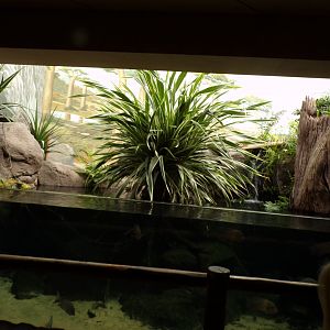 Oceanium- Tropical fish tank 13.7.23