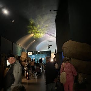 Oceanium- General view 13.7.23