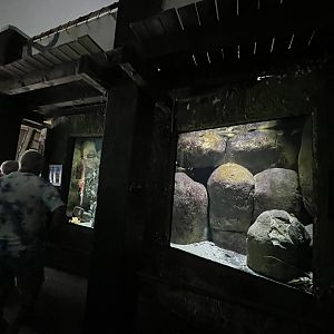 Oceanium- View of tanks 13.7.23