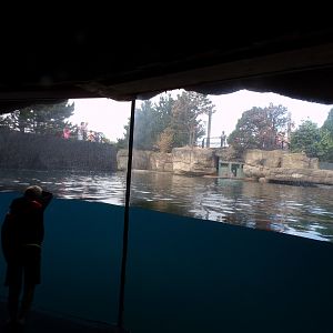 Oceanium- Californian sea lion enclosure 13.7.23