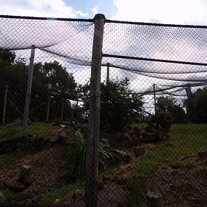 North America- Arctic fox enclosure (empty) 13.7.23