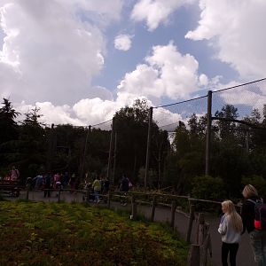 North America- General view 13.7.23