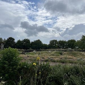 North America- Polar bear enclosure 13.7.23