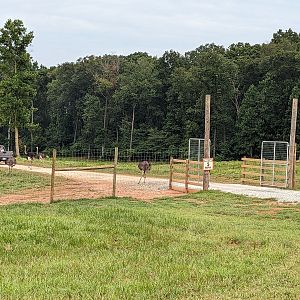 Atlanta Safari Park - Safari entrance