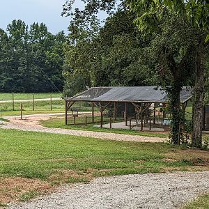 Atlanta Safari Park - Walk through area budgie aviary