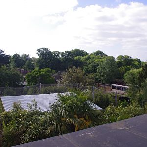 View of the zoo from the raised outdoor viewing for Chimpanzee Lookout- 2/6/2023