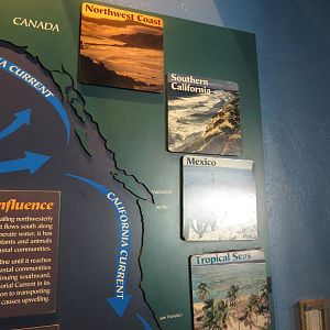 Geographic Aquarium Route